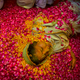 India-Widows-Holi